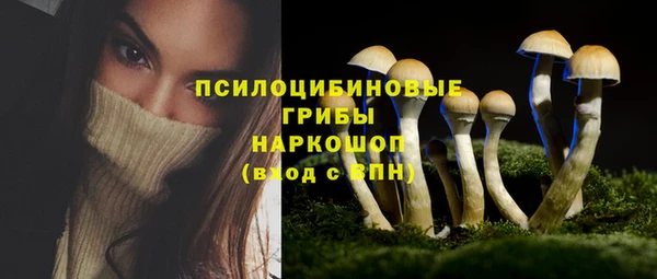 крисы Алексеевка